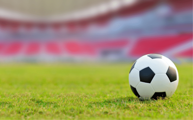 National Sport of Peru