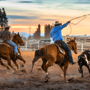 Chile's National Sport: Chilean Rodeo (7 Facts)