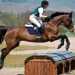 Equestrian History