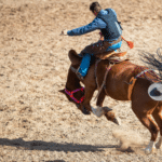 Rodeo History