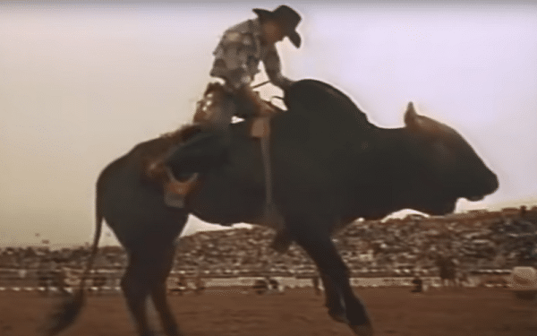 11 Best Rodeo Movies, Shows, and Documentaries
