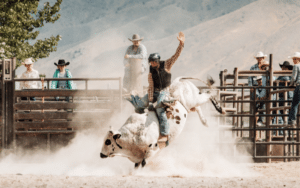 5 Best Rodeo YouTube Channels (2025)