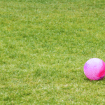 Kickball History
