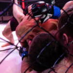 Mixed Martial Arts History