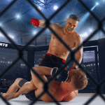 Best Mixed Martial Arts Fighters