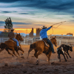 Best Rodeo Players