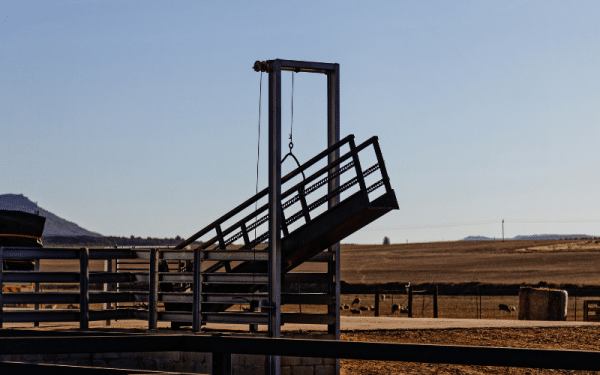 Tools For Rodeo Rodeo Equipment List: 17 Items (with Pictures)