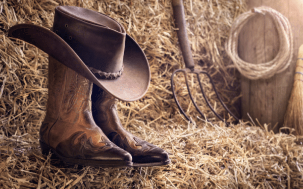 Tools For Rodeo Rodeo Equipment List: 17 Items (with Pictures)