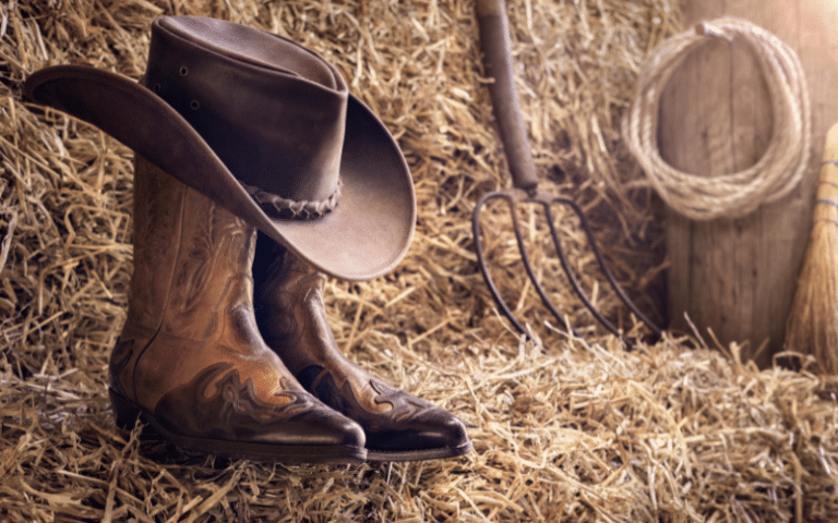 Rodeo Equipment List: 17 Items (with Pictures)