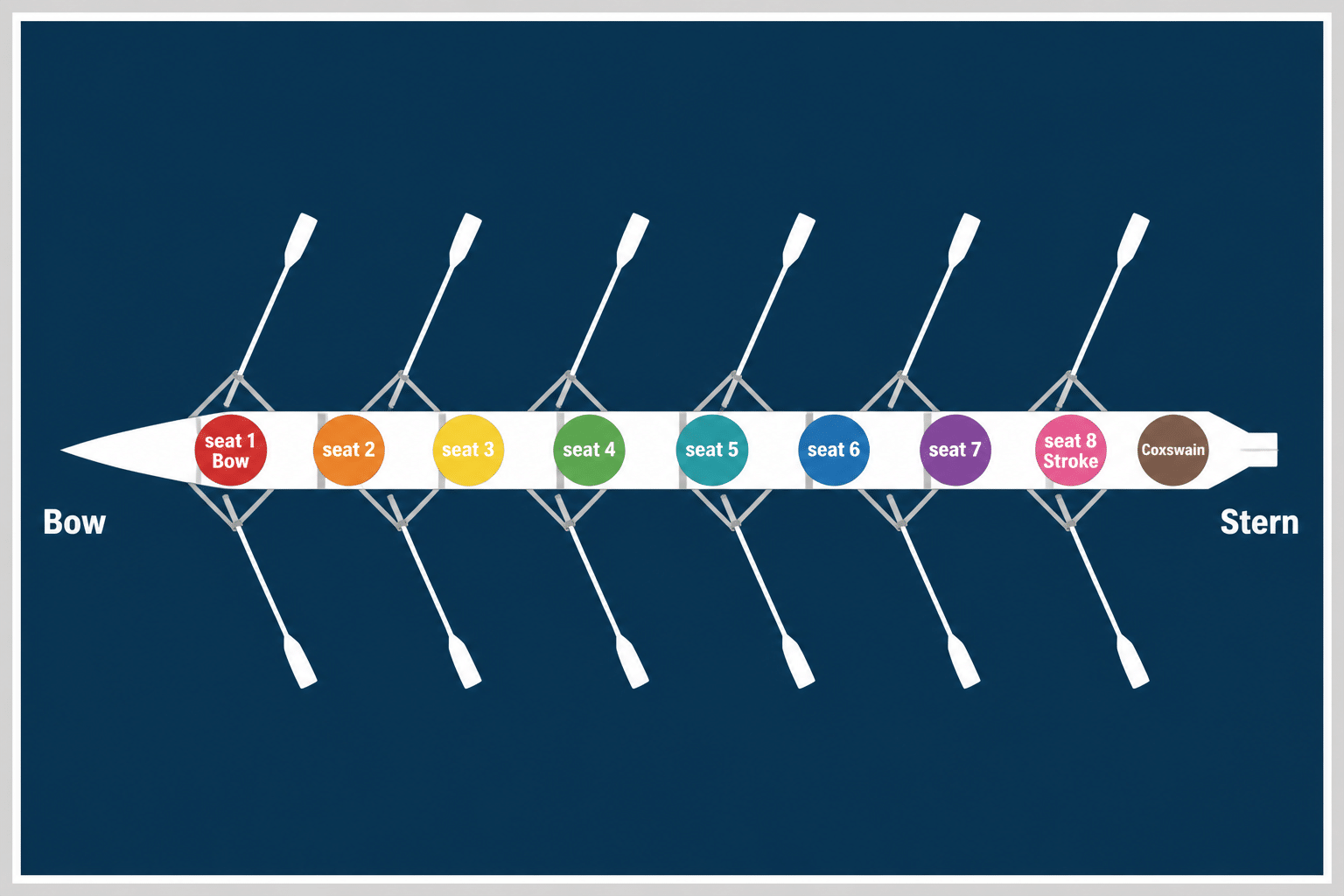 Rowing positions diagram showing all 8 seats of an eight plus the coxswain
