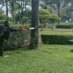 Disc golfer releasing a backhand throw in a park