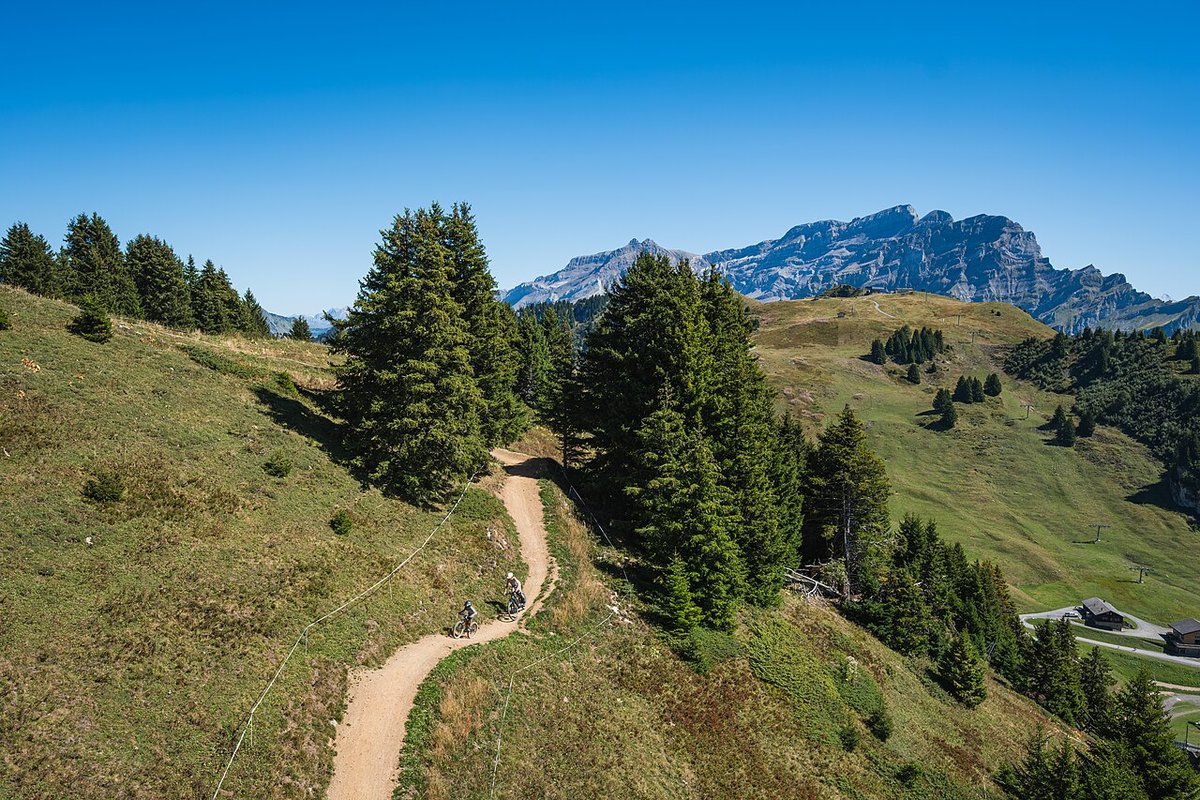 Singletrack mountain bike trail through alpine meadows