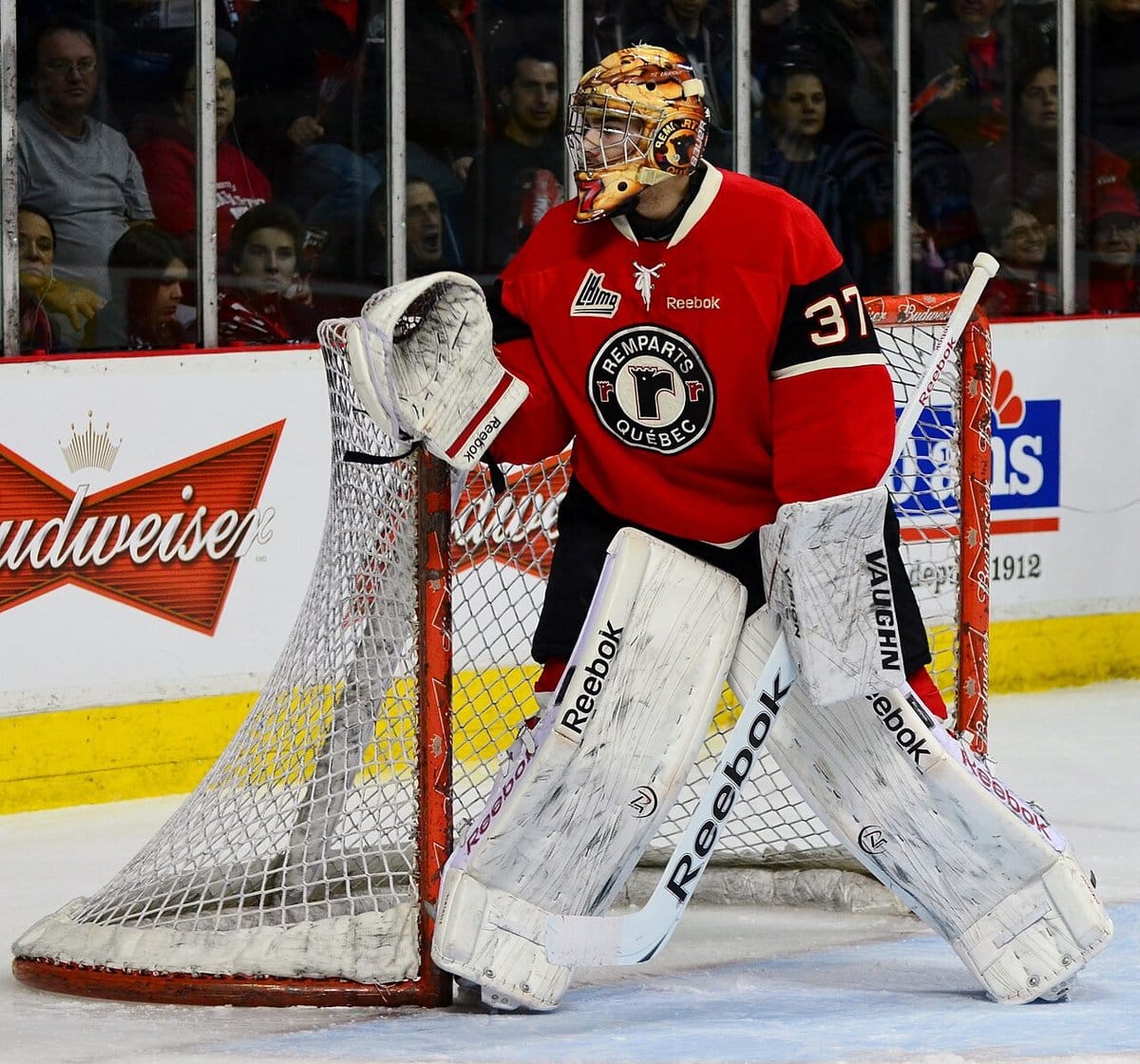 Goalie in full gear guarding the net