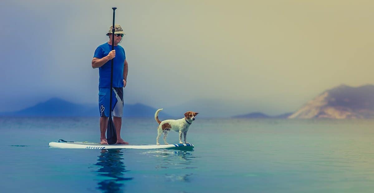 Man and dog sharing a stand up paddleboard